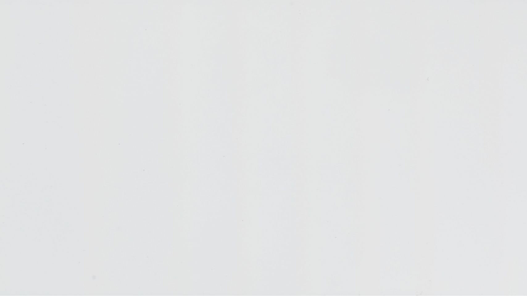 Heizkörper Farbe Edition Pastell Edelweiss